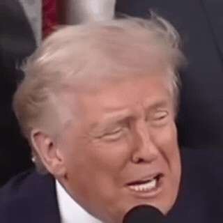 Generated Trump silent-video reconstruction demo